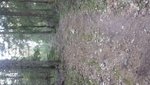 20150419_173718.jpg