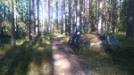 DSC_0070.JPG