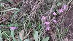 20150427_104252.jpg