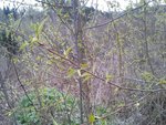 20150506_171816.jpg