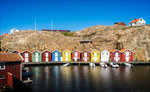 P5141178-Edit.jpg