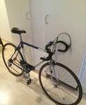 gios-torino-4802651~01.jpg