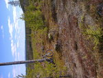 Foto0016.jpg