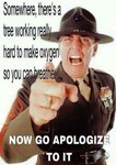 FB_IMG_1432218701917.jpg