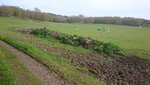 DSC_0156.JPG