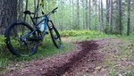 _20150525_200535.JPG