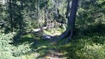 DSC_0226.JPG