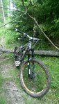 IMAG0577.jpg