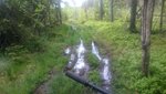 DSC_0677.JPG