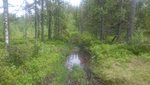 DSC_0685.JPG