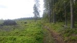 DSC_0684.JPG