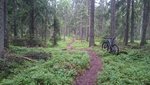 DSC_1047.JPG