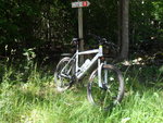 SAM_0679.JPG