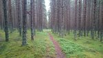 DSC_0218.JPG