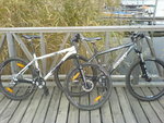 DSC00238.JPG
