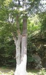 20150719_125457.jpg