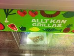 IMG_0228.JPG