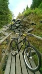 IMAG0918.jpg