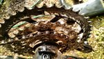 IMG_20150804_164246336.jpg