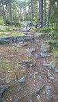 WP_20150809_07_13_21_Pro.jpg