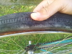 20150815_075812.jpg