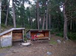 IMG_20150817_050654.jpg