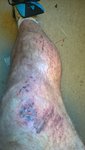 WP_20150813_12_33_57_Pro.jpg