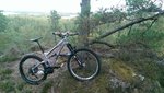 IMAG1083.jpg