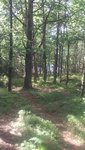 DSC_2612.JPG