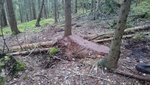 DSC_0777.JPG