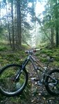 IMAG1181.jpg