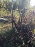 IMG_1152.JPG