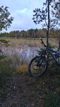 DSC_0239.JPG