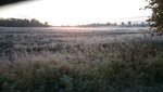 DSC_0737.JPG