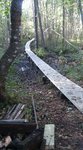 spångny.jpg