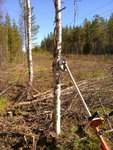 Foto0003.jpg