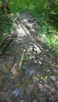 WP_20150907_004.jpg