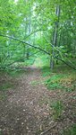 WP_20150824_004.jpg