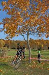 IMG_4646.jpg