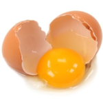 egg.png
