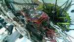 IMAG1259.jpg