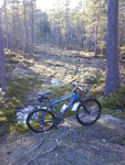 DSC00158.JPG