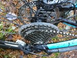 2015-11-28 13.44.15.jpg