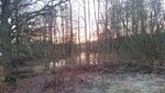 DSC_1137.JPG