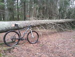 20151205_105247.jpg