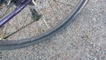 20151219_114256.jpg