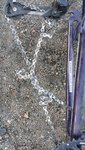 20151219_121506.jpg