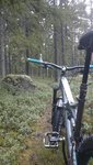 2015-12-20 09.34.34.jpg