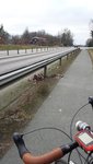20151230_134334.jpg
