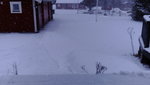 DSC_0063.JPG